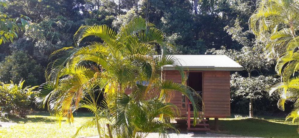 Daintree Rainforest Bungalows Villa Cow Bay Eksteriør billede